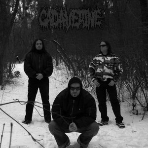 Avatar di Cadaverine (Bgr)