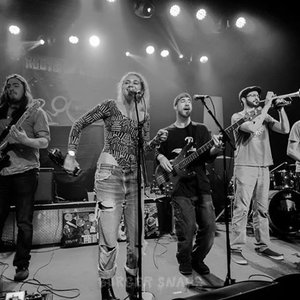 Avatar de Harsh Armadillo