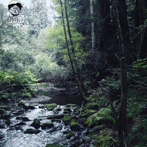 Meet Me Where the River Turns Grey [Explicit]