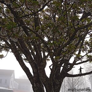ERUTRUNATURE