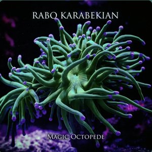 Avatar für Rabo Karabekian