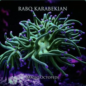 Rabo Karabekian 的头像