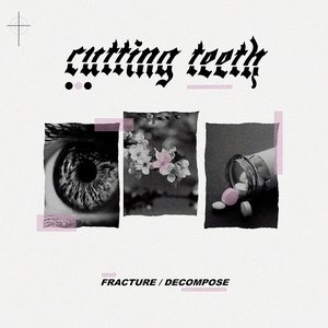 Fracture / Decompose