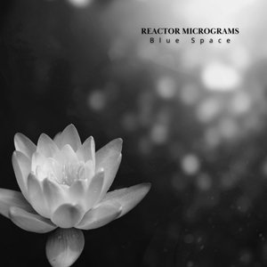 Reactor Micrograms 的头像