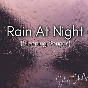 Rain At Night (Sleeping Sounds)