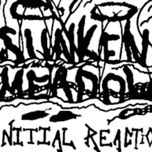 Initial Reaction