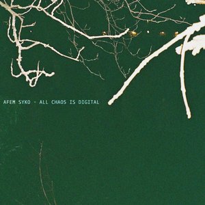 All Chaos Is Digital