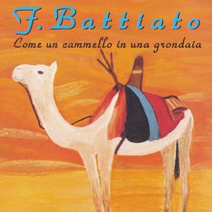 Come un cammello in una grondaia cover