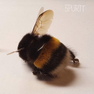 Pieniä Kuolemia