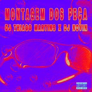 MONTAGEM DOS PEÇA