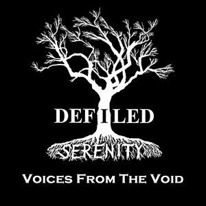 Voices From The Void