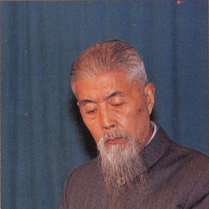 Avatar de WU Zhaoji