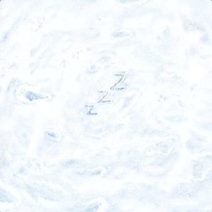 不冬眠 - Single