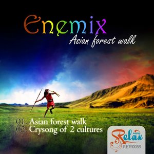 Asian forest walk