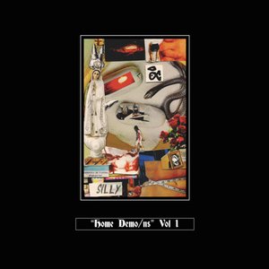 Home Demo/ns, vol. I