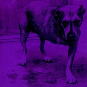 Alice In Chains (Tripod)