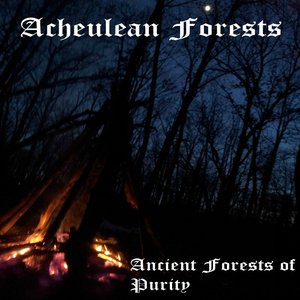 Ancient Forests Of Purity