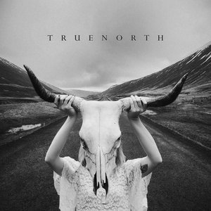 Truenorth