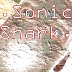 Sonic Shark のアバター