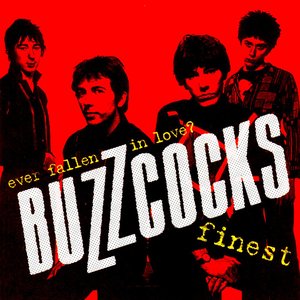 Ever Fallen In Love? - Buzzcocks Finest