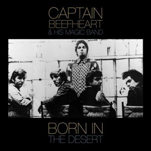 Born In The Desert (Live)