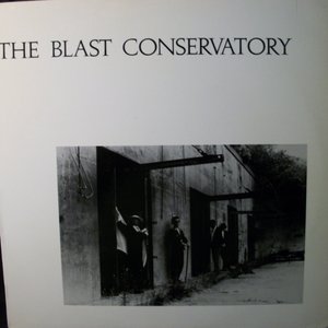 The Blast Conservatory 的头像