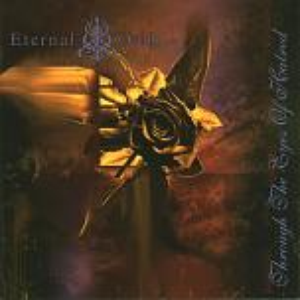 Through the Eyes of Hatred cover