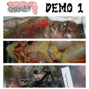 Demo 1