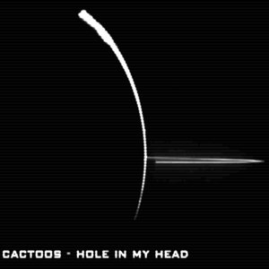 cactoos 的头像