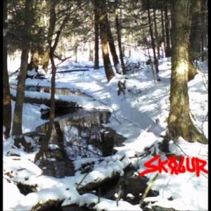 Avatar for Skogur