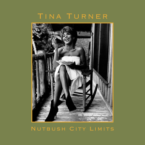 Tina Turner - Nutbush city limits (the 90