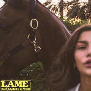 Lame - Single