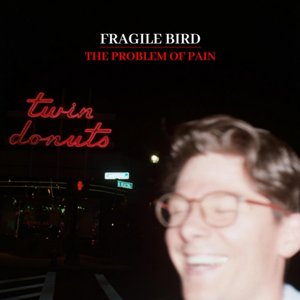 The Problem of Pain