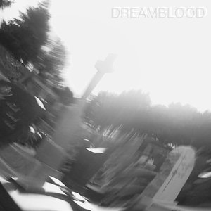 DREAMBLOOD 的头像