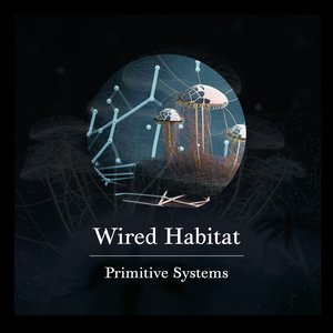Primitive Systems