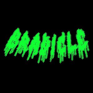 bradicle 的头像