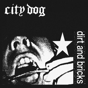 Dirt And Bricks