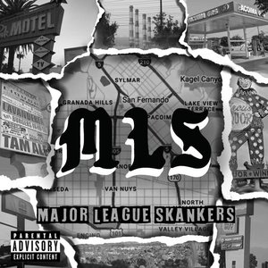 Major League Skankers