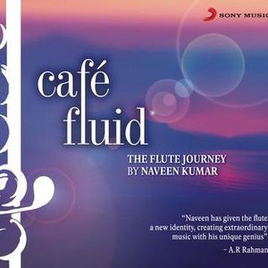 Cafe Fluid