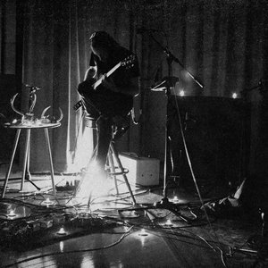 Antlers as Roots 的头像