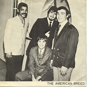 American Breed 的头像