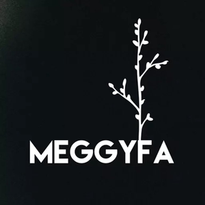 Artwork for Meggyfa