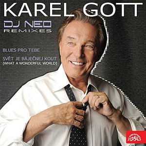 Karel Gott vs. DJ Neo Remixes (EP)