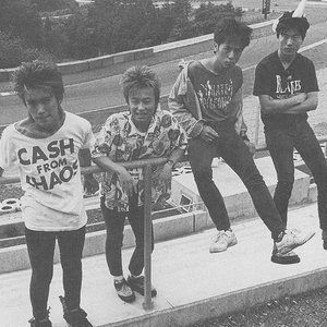 Tom Cat ラインナップ バイオグラフィー Last Fm