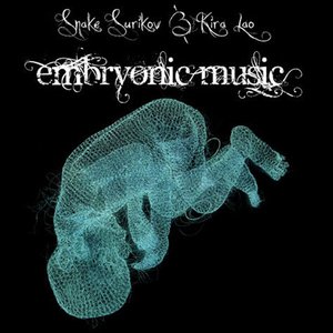 “Embryonic Music”的封面