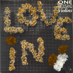 Locked Out of the Love-In