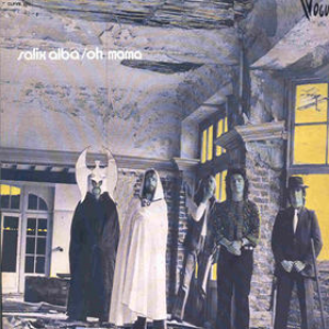 Salix Alba photo provided by Last.fm