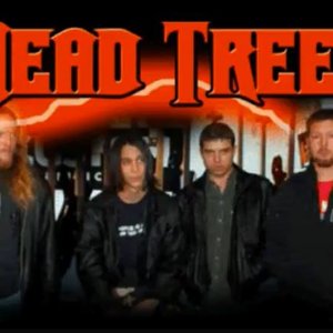 Image for 'Dead Tree'