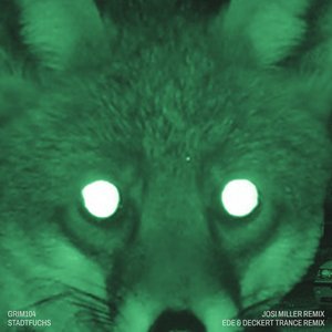 Stadtfuchs (Remixe) - Single