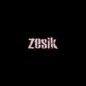 Zesik 的头像